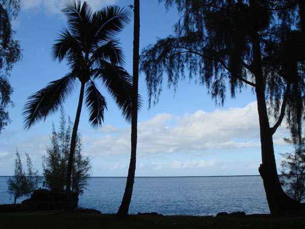 ハワイの海岸と空の写真